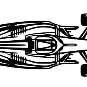 F1 auto van bovenaf
