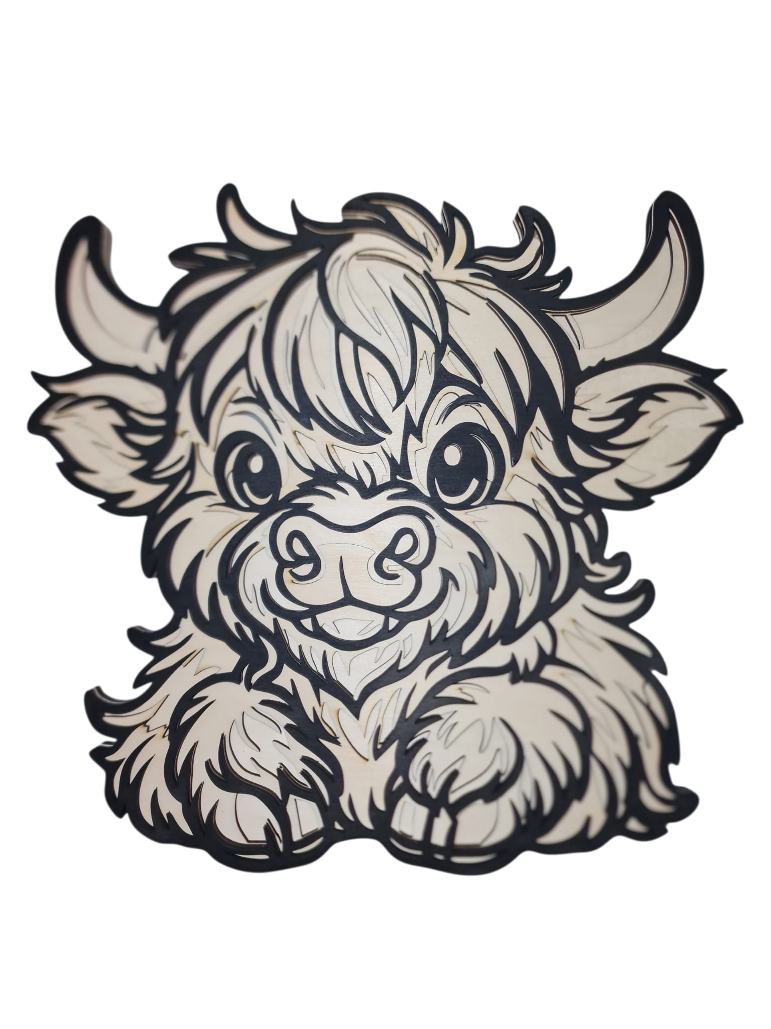Highland Cow